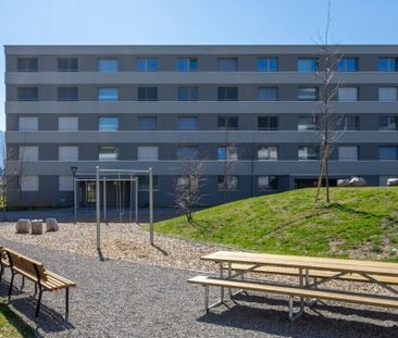 Luminoso 2.5 locali immerso nel verde - Foto 4