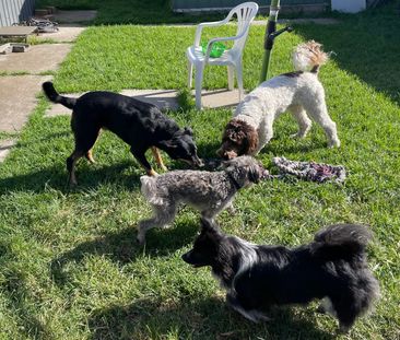 West Footscray - Photo 2