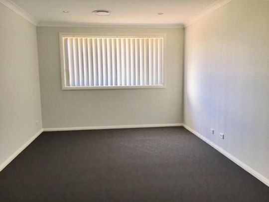 Modern 3 Bedroom Family Home on Corner Block - Photo 1