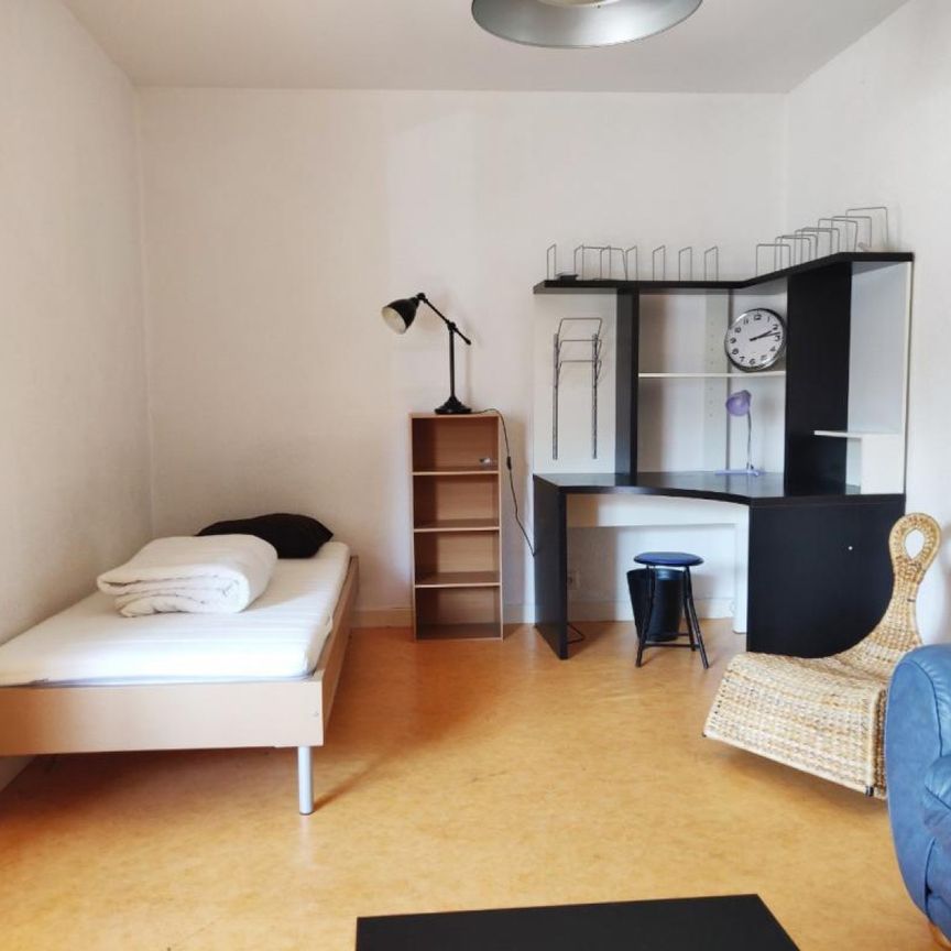 APPARTEMENT T1 [MEUBLE] A LOUER A ROANNE - BARON DU MARAIS - Photo 1