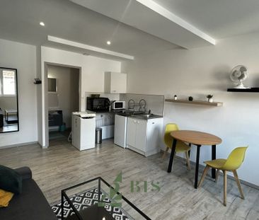 Location Appartement 1 pièce 22m² ROANNE 42300 - Photo 4