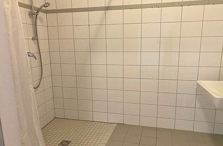 barrierefreie Wohnung in Pulkau - Photo 2