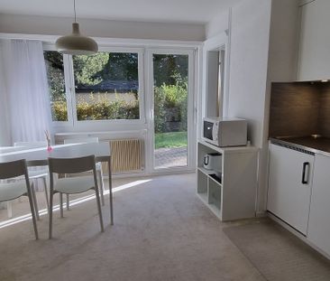 1 Zimmer, 35 m², EG - Foto 4