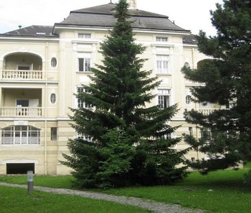 HOLLABRUNN XXIV/2 - Seminarvilla - Photo 4