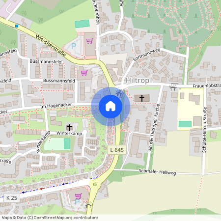 Dietrich-Benking-Straße 2, 44805, Bochum