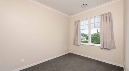 b/15 Hall Street, Newtown, Wellington City - Photo 5