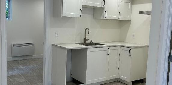 3 1/2 à louer à Sutton - Photo 2