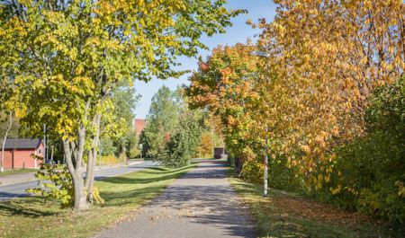 Nordengatan 7, 75264, Uppsala - Photo 2