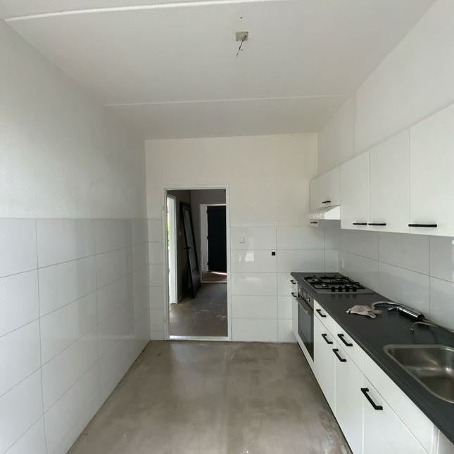 Te huur: Huis Buidelnet 2 in Hoogvliet Rotterdam - Foto 1
