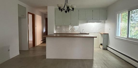 Grand 5 1/2 à louer - Chauffage et eau chaude inclus - Photo 2