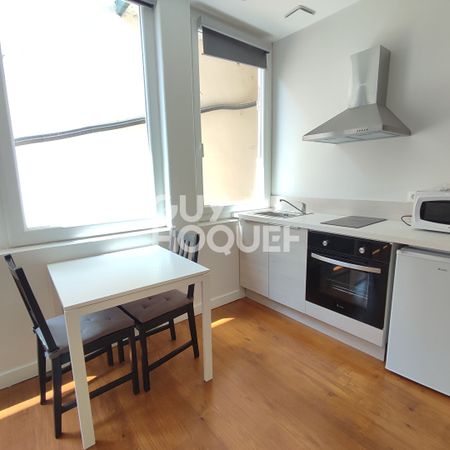 STUDIO MEUBLE ENTIEREMENT RENOVE EN CENTRE VILLE AU CALME - Photo 4