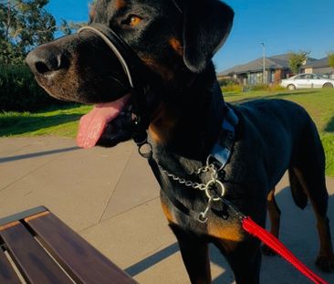 Donnybrook - Photo 3