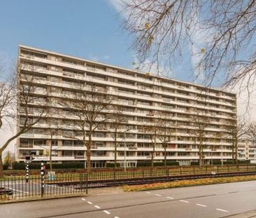 Livingstonelaan 3526 Utrecht - Foto 1