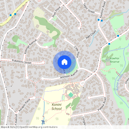 1A Pitcher Place, Glen Eden