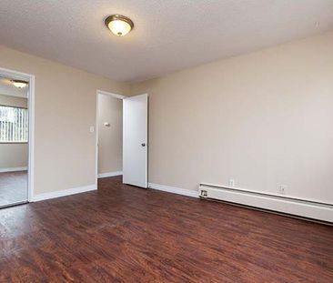 Daylin Manor Apartments - 1 Bedroom - Photo 6