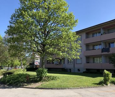 4 Zimmer, 76 m², EG - Foto 1