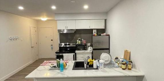 1 CH - 1 SDB - Montréal - $1,345 /mo - Photo 2