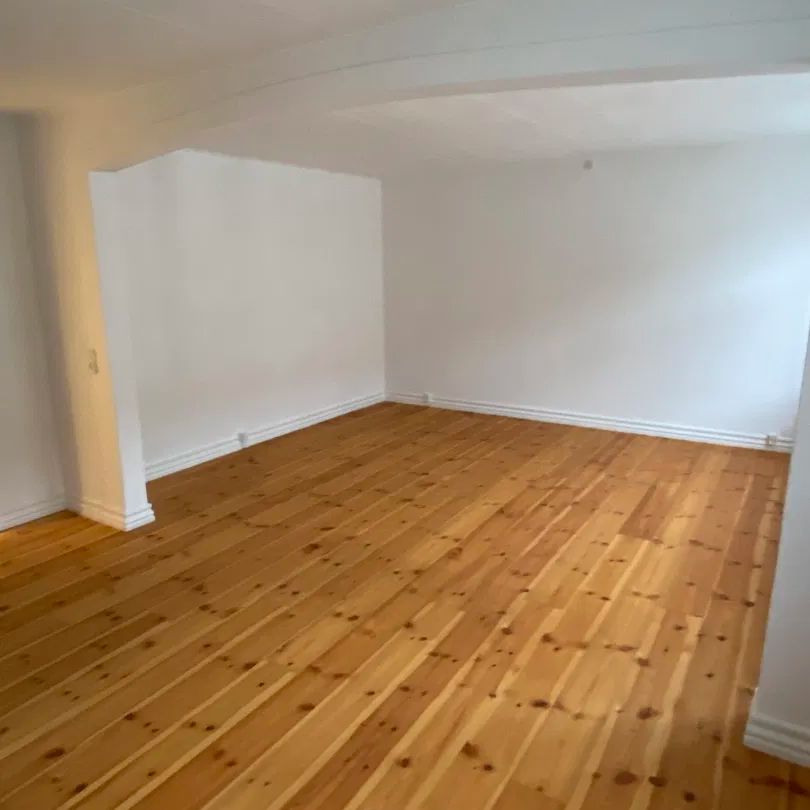 Lys og rummelig lejlighed i hjertet af Aalborg - Photo 1