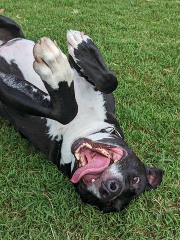 Marrickville - Photo 4