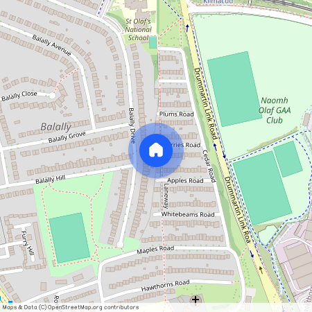 Cherries Road, Sandyford, D16 P2W7