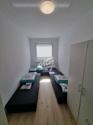 Mieszkanie | Wynajem - Zdjęcie 1