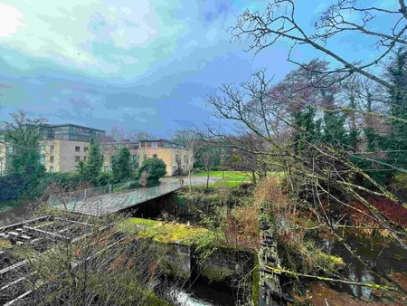 The Millrace, Chapelizod - Photo 4