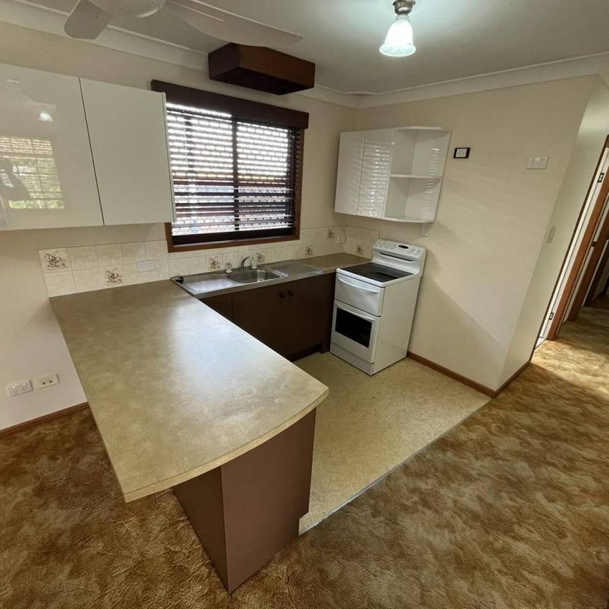 Charming and Affordable Home in South Grafton - Photo 1