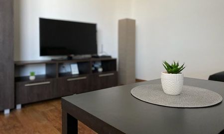 FOIT - PRENÁJOM V BOTANIKE - Photo 5