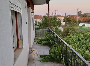 Μονοκατοικία για ενοικίαση - Σοχός, - Photo 5