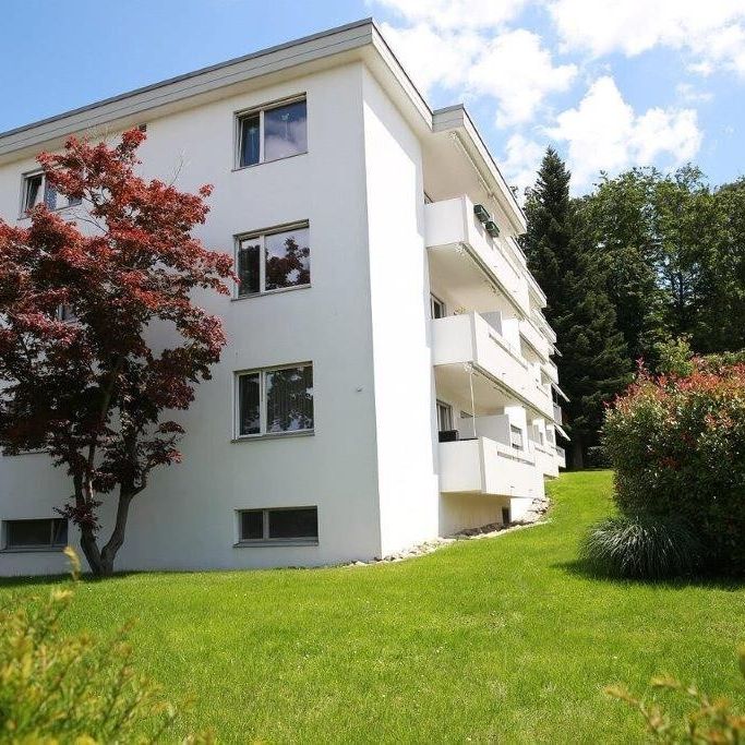 Rent a 2 ½ rooms apartment in Uster - Foto 1