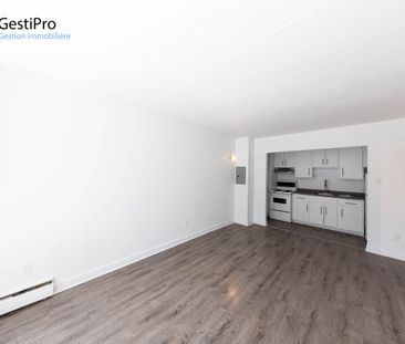 1805 de Grandville - Photo 3
