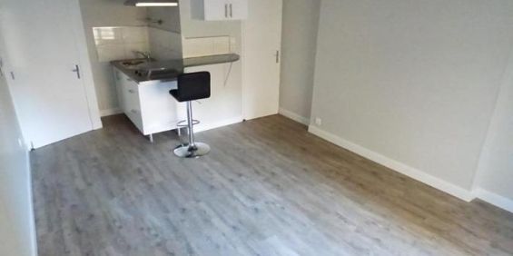 Appartement à louer, 1 pièce - Angers 49100 - Photo 3