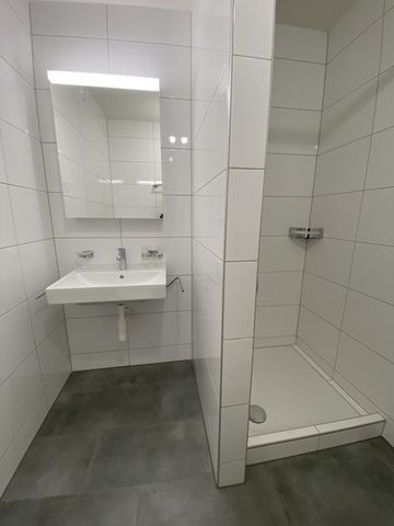 Appartement d’une pièce récemment rénové dans le quartier populaire de Gotthelf - Photo 4