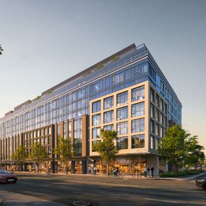 Cricket Park - Photo 2