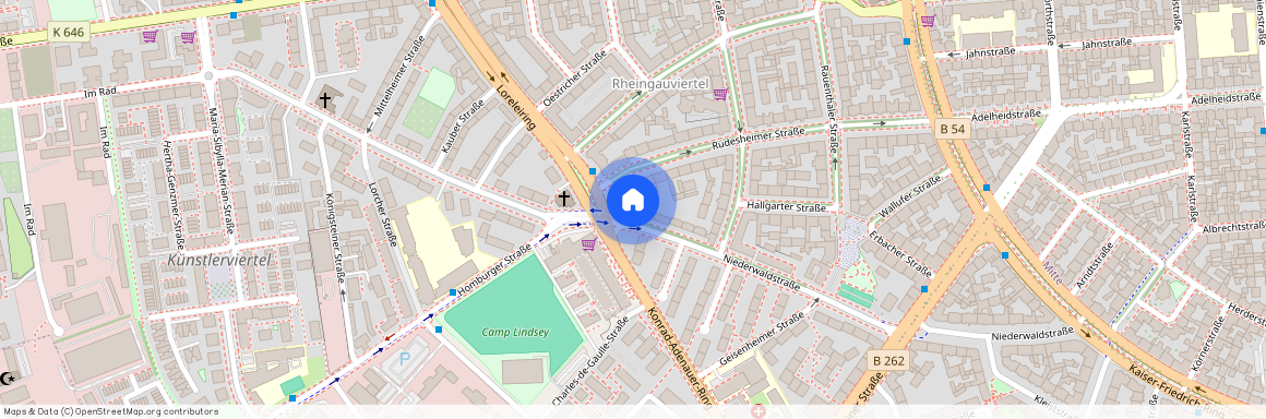 Niederwaldstr. 55, 65197 Hessen - Wiesbaden