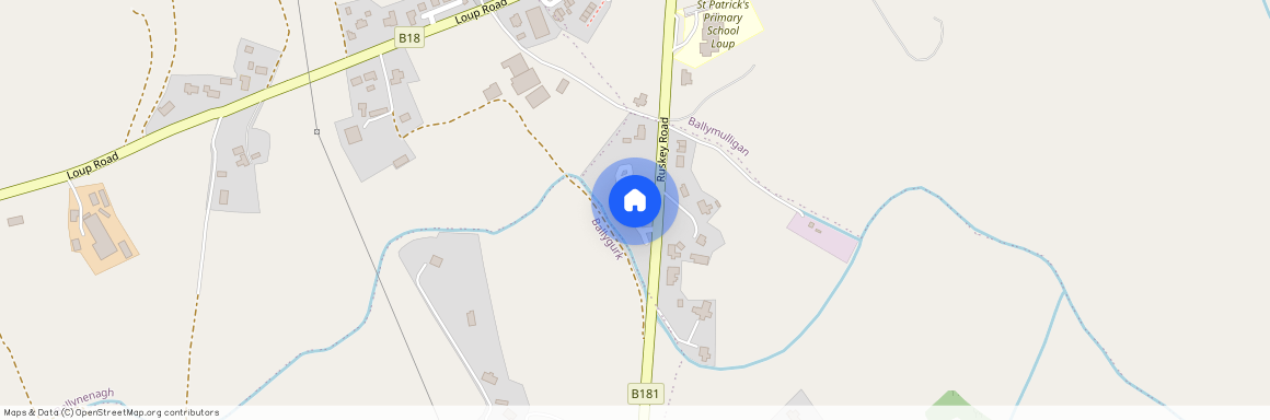 4 Birchwood Park, Loup, Magherafelt, BT45