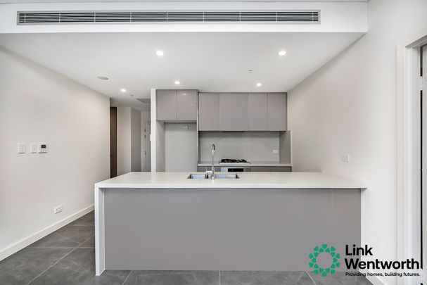 D501/101 Waterloo Road, MACQUARIE PARK NSW 2113 - Photo 1