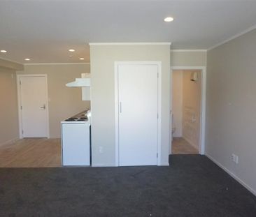 CENTRAL PETONE STUDIO APARTMENT - Photo 1