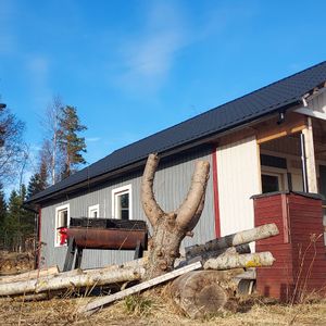 Dala, Skog - Foto 2