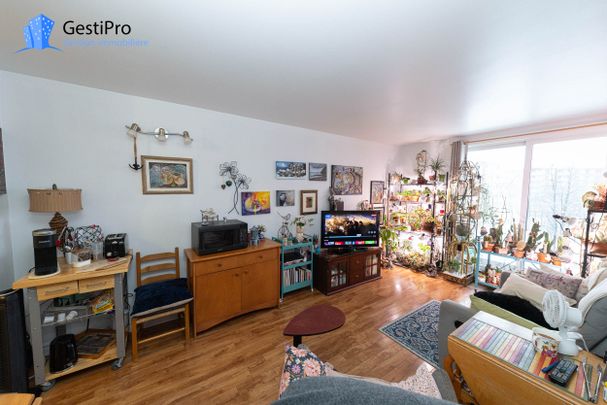 880 Grandjean - Photo 1