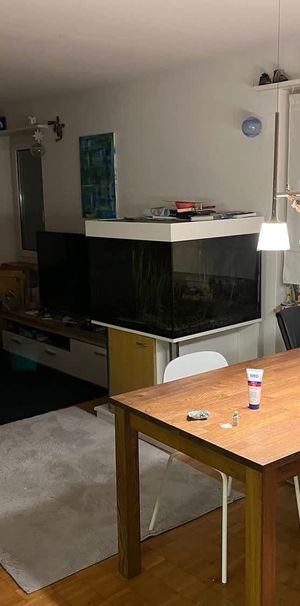 3.5 Zimmer, 75 m², 4. Stock - Foto 1