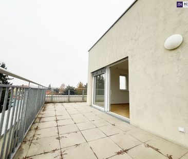 RIESIGE WESTTERRASSE mit 36m²! 2-Zimmer Wohnung im obersten Stock! ... - Photo 5