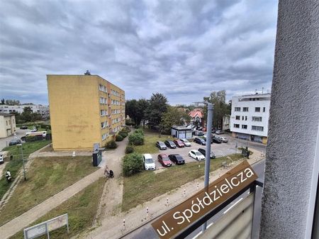 Mieszkanie Wynajem: Koszalin - Photo 4