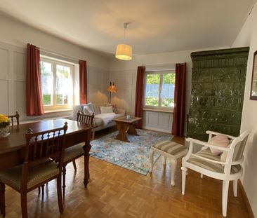 3-ROOM APARTMENT IN RICKENBACH SULZ (ZH), FURNISHED, TEMPORARY - Photo 2