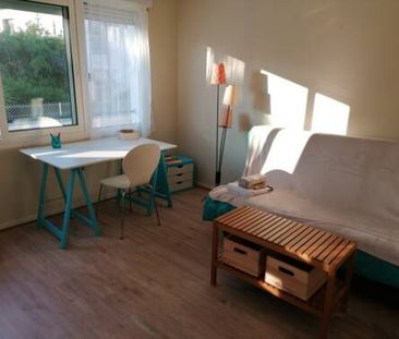 Studio meublé 21 m² Jardin des Plantes, Clémenceau - Photo 1