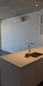 🏙️ Magnifique condo 3 ½ à Montréal – Métro Papineau – Disponible mi ou fin août 🏡 - Photo 4