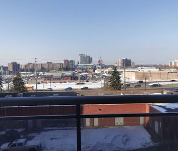 For Lease - 9205 Yonge Street Unit# 419, Richmond Hill, Ontario - Photo 5