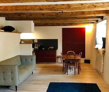 1½ Zimmer-Wohnung in Wädenswil (ZH), möbliert, auf Zeit - Foto 1