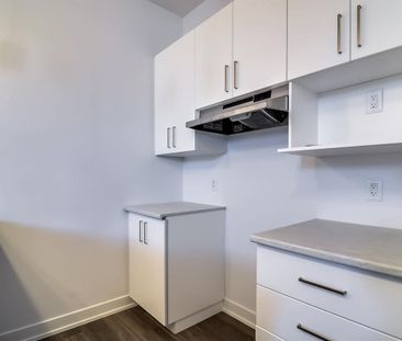 86 Rue Du Campagnard (Gatineau) Très Beau Logement De 1 Cc - Photo 3