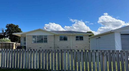 Central Ohakune 3 bedroom Home - Photo 2